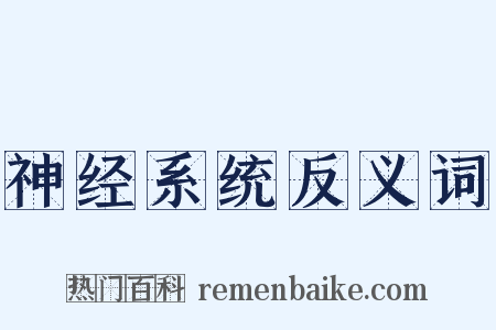 神经系统反义词是什么意思的图片